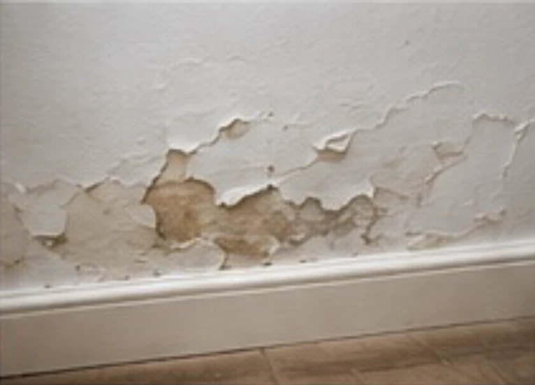 Peinture cloquée et dégradation du support en pied de mur, humidité dissimulée découverte après l'achat